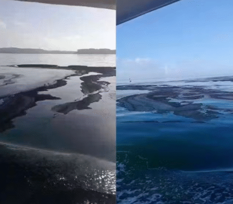 Imagem do post Mancha misteriosa aparece no mar da Bahia e assusta pescadores