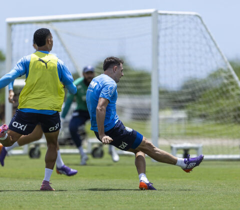 Imagem do post Bahia se reapresenta com foco na partida contra o Fluminense