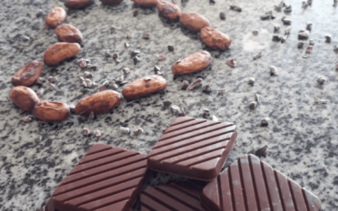 Imagem do post Ilhéus é declarada capital nacional do cacau e do chocolate