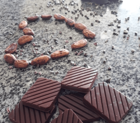 Imagem do post Ilhéus é declarada capital nacional do cacau e do chocolate