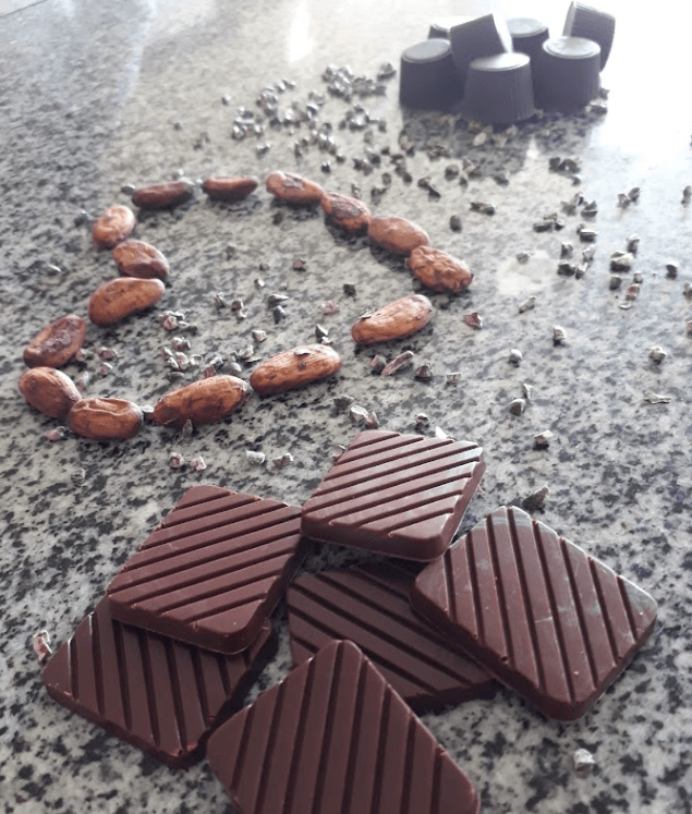 Ilhéus é declarada capital nacional do cacau e do chocolate