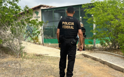 Imagem do post PF cumpre mandados por ameaça à Ararinha-Azul