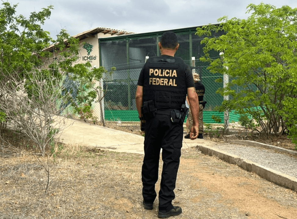 PF cumpre mandados por ameaça à Ararinha-Azul