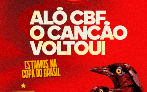 Imagem do post Juazeirense celebra vaga na Copa do Brasil com triunfo do Vitória