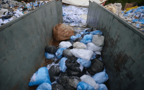 Imagem do post Relatório detalha coleta, reciclagem e energia de resíduos