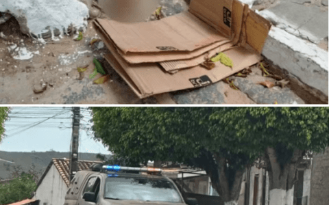 Imagem do post Crânio humano é achado em saco plástico em Inhambupe