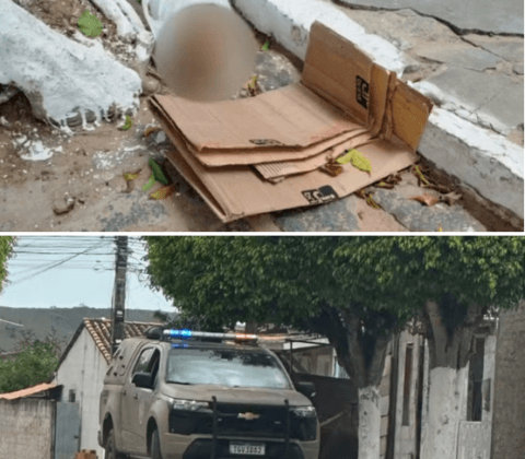 Imagem do post Crânio humano é achado em saco plástico em Inhambupe