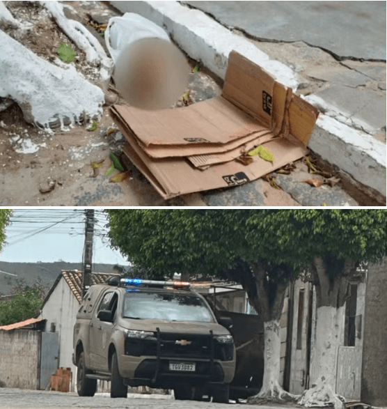 Crânio humano é achado em saco plástico em Inhambupe