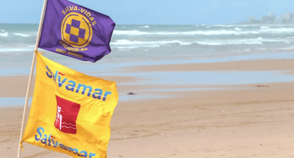 Salvamar alerta para caravelas-portuguesas no litoral de Salvador