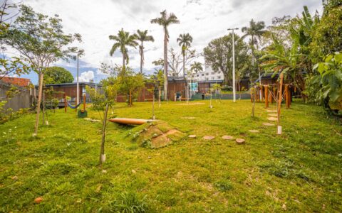 Imagem do post Parque naturalizado em Salvador recebe 5 mil visitas em 1 mês