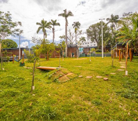 Imagem do post Parque naturalizado em Salvador recebe 5 mil visitas em 1 mês