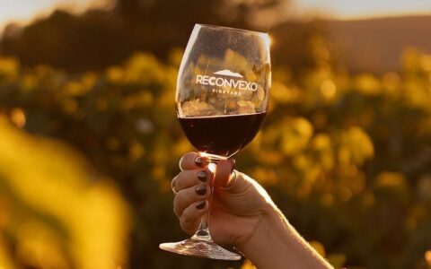 Imagem do post Vinho da Bahia ganha prata em concurso internacional no Chile