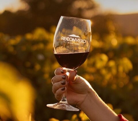 Imagem do post Vinho da Bahia ganha prata em concurso internacional no Chile