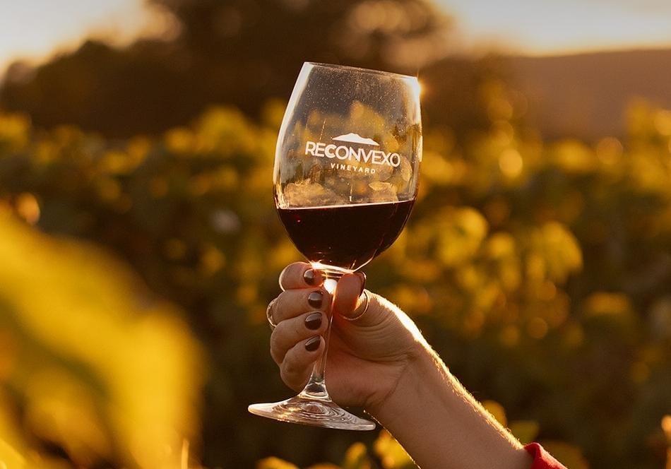 Vinho da Bahia ganha prata em concurso internacional no Chile