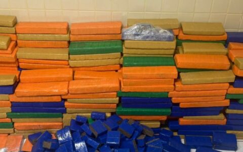 Imagem do post PM apreende cerca de uma tonelada de maconha em Simões Filho