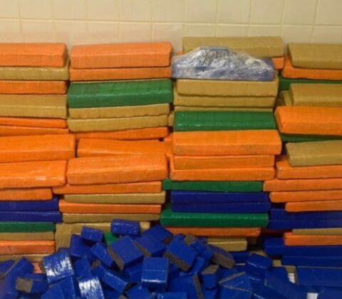 Imagem do post PM apreende cerca de uma tonelada de maconha em Simões Filho