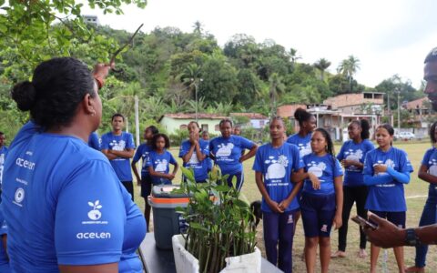 Imagem do post Estudantes lideram ação de recuperação do manguezal na Bahia