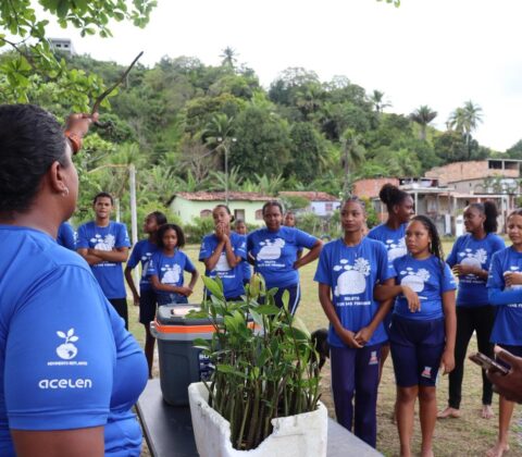 Imagem do post Estudantes lideram ação de recuperação do manguezal na Bahia