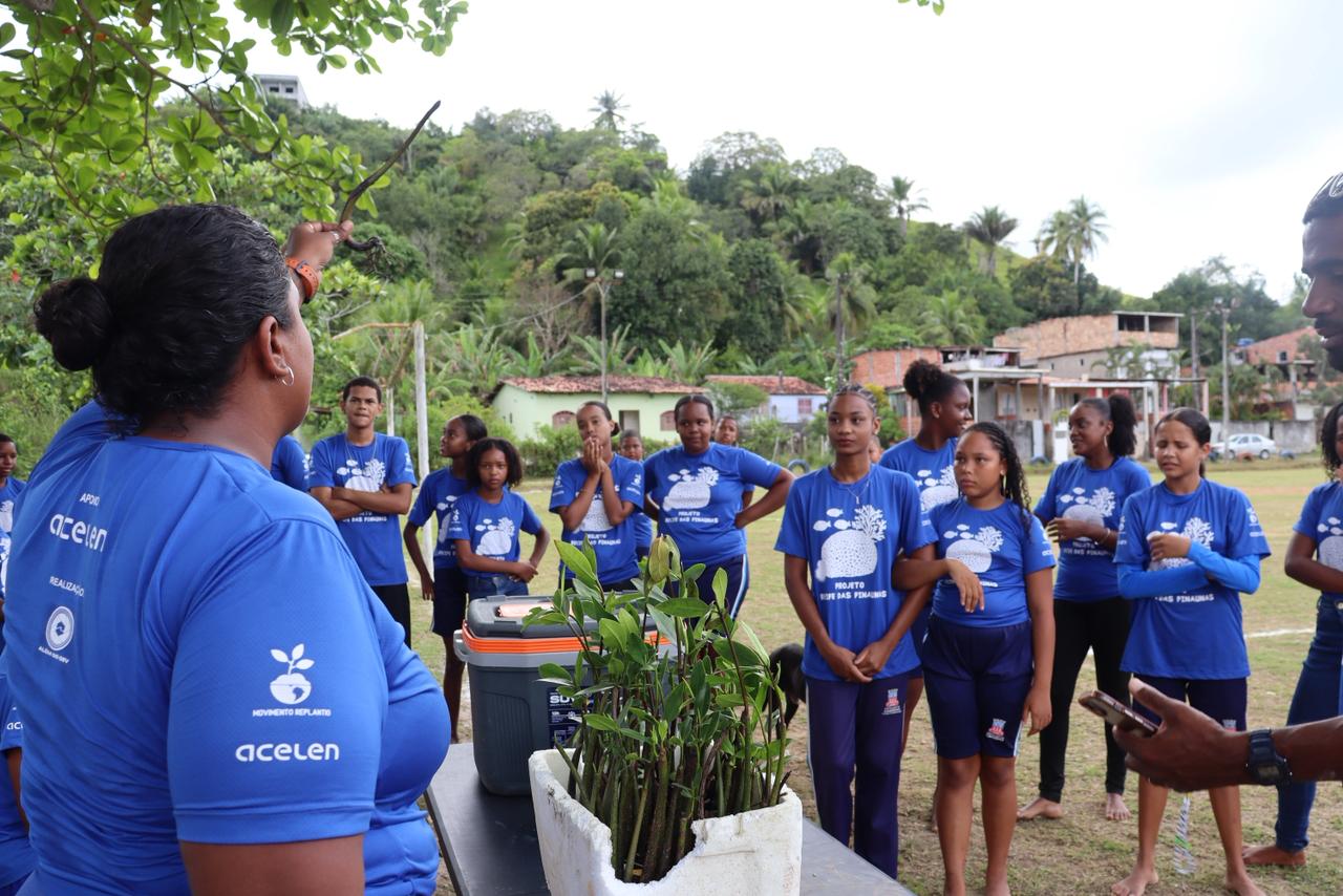 Estudantes lideram ação de recuperação do manguezal na Bahia