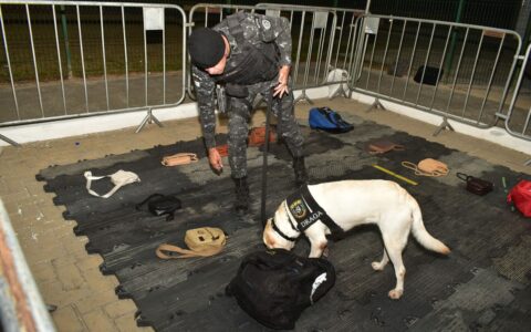 Imagem do post PM reforça ações ostensivas e preventivas no Festival da Virada Salvador