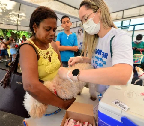 Imagem do post Vacina V10 estará disponível na Prefeitura-Bairro de Itapuã; confira data