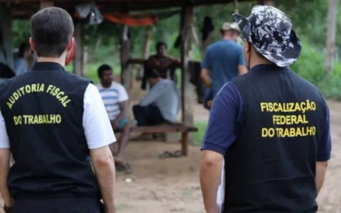 Imagem do post Bahia é o 2º estado com mais resgates por trabalho escravo em 2025