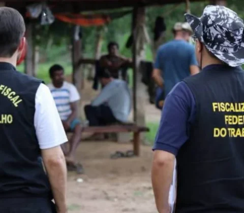 Imagem do post Bahia é o 2º estado com mais resgates por trabalho escravo em 2025