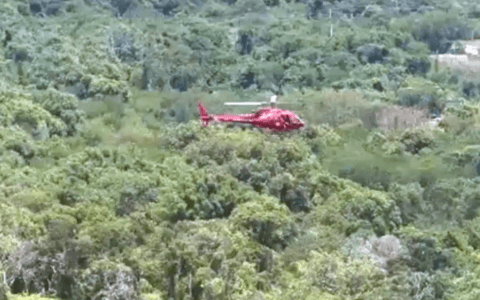 Imagem do post Helicóptero cai em área de mata no Rio e deixa três mortos