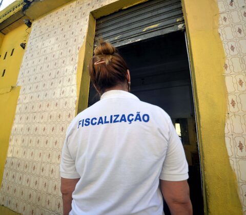 Imagem do post Lavagem do Bonfim: Sedur notifica 180 estabelecimentos e Prefeitura reforça ações contra raiva em animais