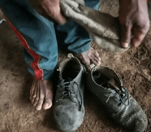 Imagem do post Réus de trabalho escravo são majoritariamente absolvidos