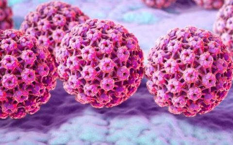Imagem do post HPV é encontrado em múmias de até 45 mil anos