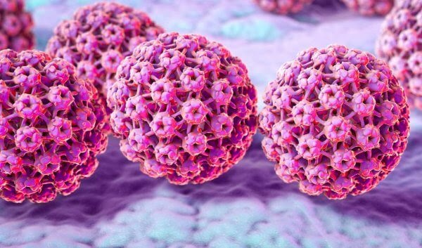 HPV é encontrado em múmias de até 45 mil anos