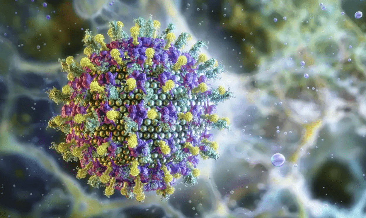 Vírus Nipah não ameaça o Brasil, diz Ministério da Saúde