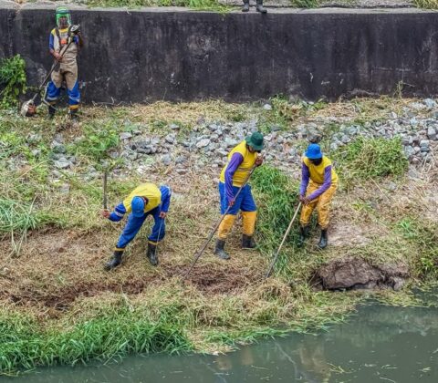 Imagem do post Prefeitura intensifica limpeza no Rio Ipitanga às vésperas da Mica Lauro