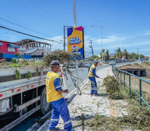 Imagem do post Prefeitura de Lauro de Freitas inicia força-tarefa para deixar Mica Lauro pronta para três dias de folia