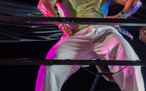 Imagem do post Pagod’art arrasta multidão na MicaLauro e Flavinho dança pendurado no trio