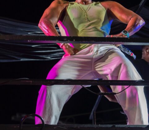 Imagem do post Pagod’art arrasta multidão na MicaLauro e Flavinho dança pendurado no trio