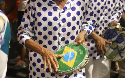 Imagem do post Samba dá o tom do Carnaval com blocos temáticos em Salvador; confira programação
