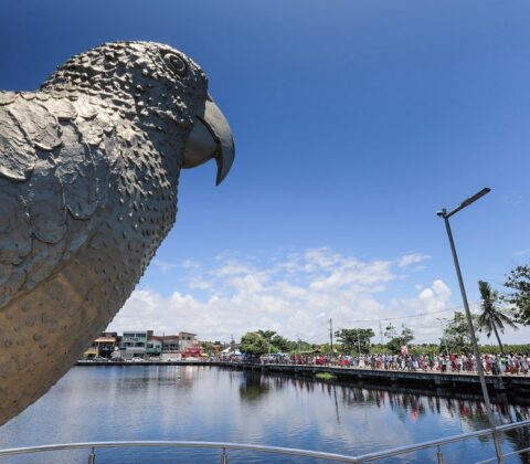 Imagem do post Lavagem de Jauá 2026: Veja como ficará o trânsito