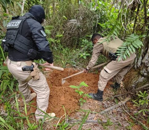 Imagem do post Operação identifica cemitério clandestino usado por criminosos