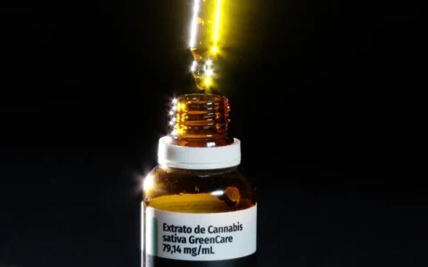 Imagem do post Anvisa libera produção de cannabis medicinal no Brasil e amplia acesso a tratamentos