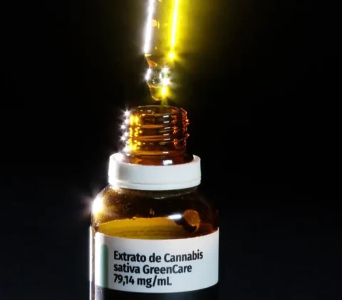 Imagem do post Anvisa libera produção de cannabis medicinal no Brasil e amplia acesso a tratamentos