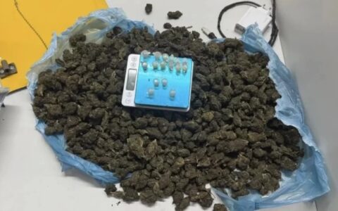 Imagem do post Gamboa: Polícia apreende grande quantidade de maconha do CV