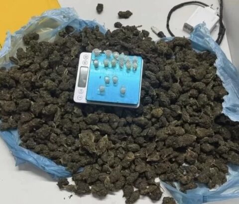 Imagem do post Gamboa: Polícia apreende grande quantidade de maconha do CV