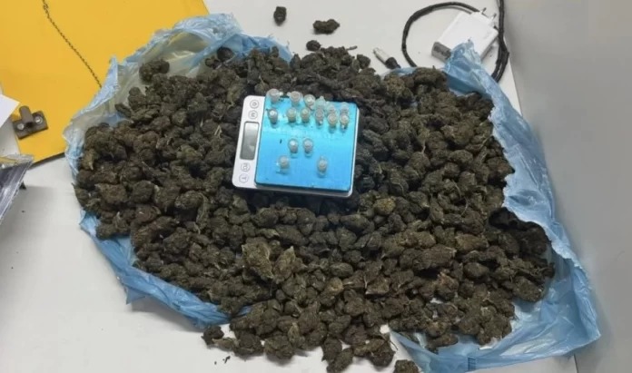 Gamboa: Polícia apreende grande quantidade de maconha do CV