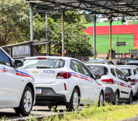 Imagem do post Salvador segue com 600 vagas abertas para novos taxistas; veja como participar