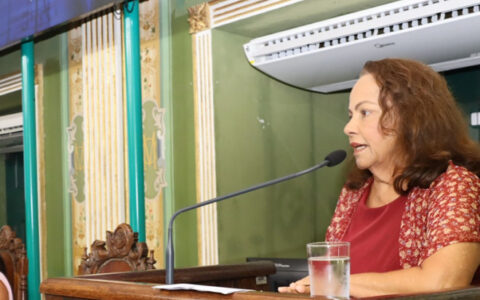 Imagem do post Justiça barra leilão de área verde na Vitória e vereadora celebra decisão