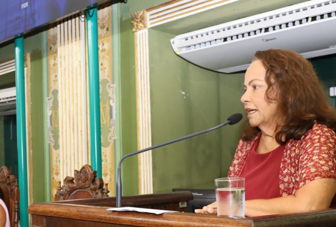 Justiça barra leilão de área verde na Vitória e vereadora celebra decisão