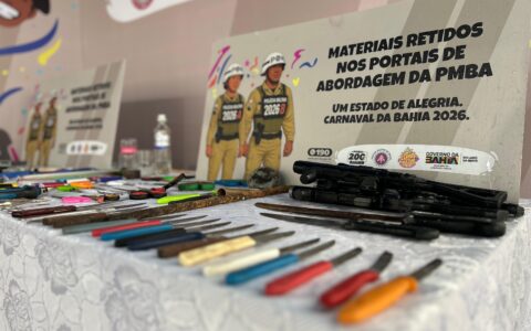 Imagem do post Mais de 500 objetos são retidos no primeiro dia do Carnaval