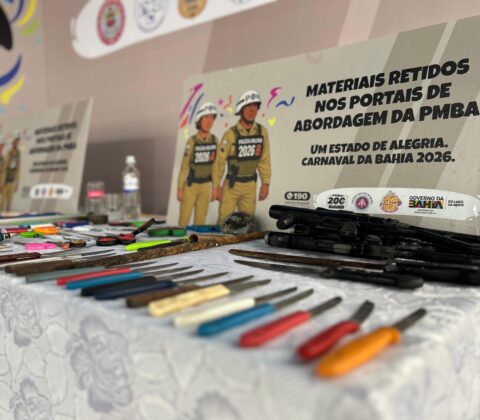 Imagem do post Mais de 500 objetos são retidos no primeiro dia do Carnaval